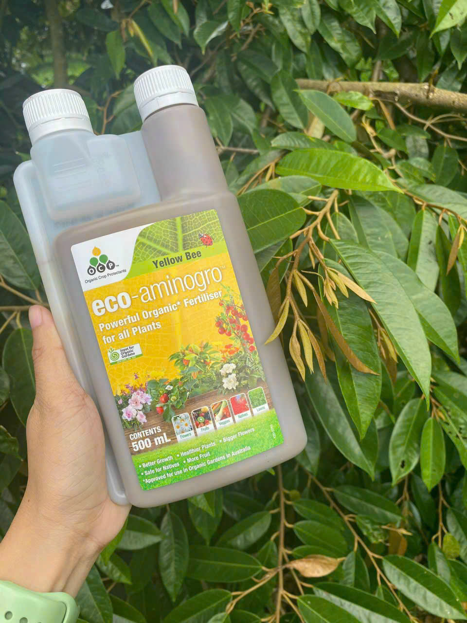 Amino Úc Eco-aminogro (Yellow Bee) nhập khẩu trực tiếp chai 500ml