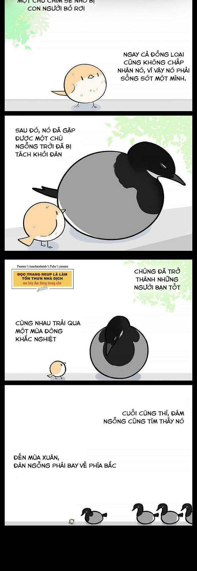 chim sẻ gọi ngỗng trời chapter 20 3