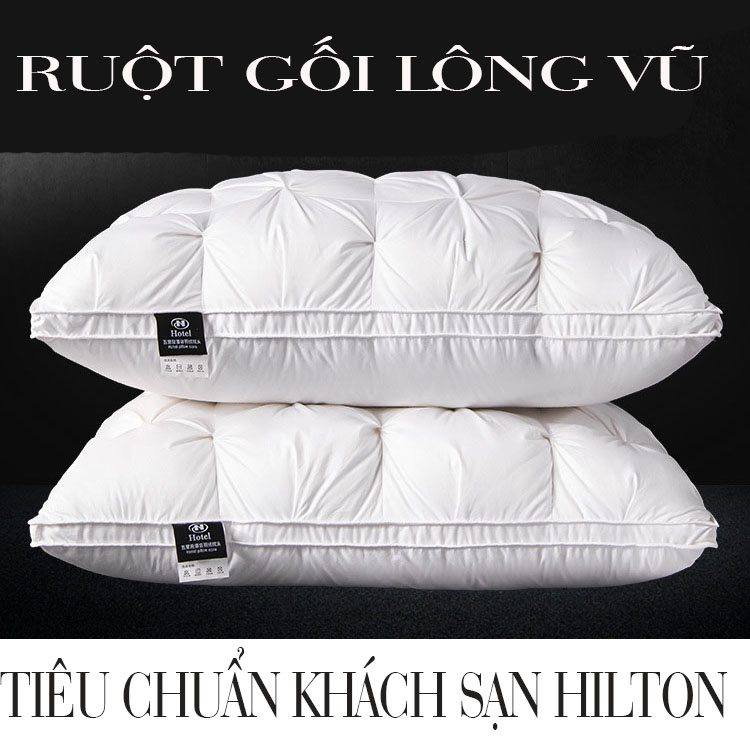 Ruột gối lông vũ cao cấp tiêu chuẩn khách sạn Hilton