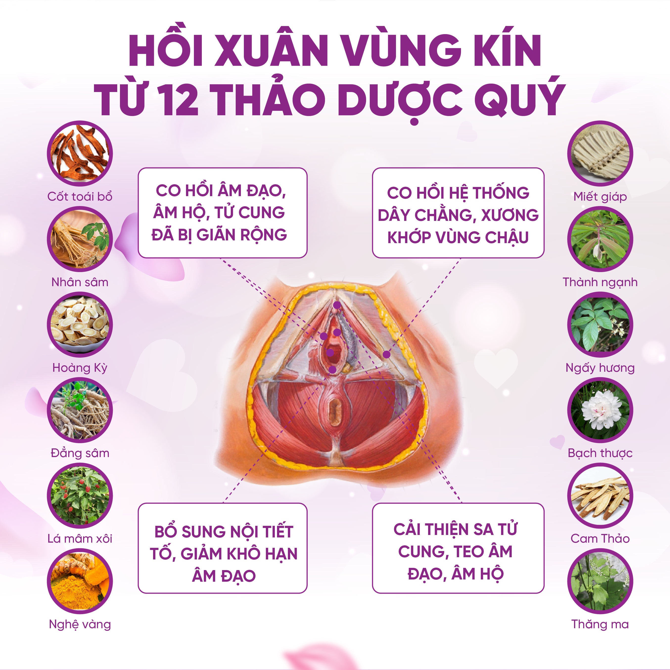 Thực Phẩm Bảo Vệ Sức Khỏe ZLove - Se Khít Tức Thì, Tăng Nội Tiết Tố Và Phục Hồi Sức Khỏe Phụ Nữ Sau Sinh Nhanh Chóng (50 viên/hộp)