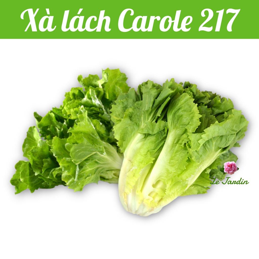 Hạt giống xà lách Carol 217 gói 5gr