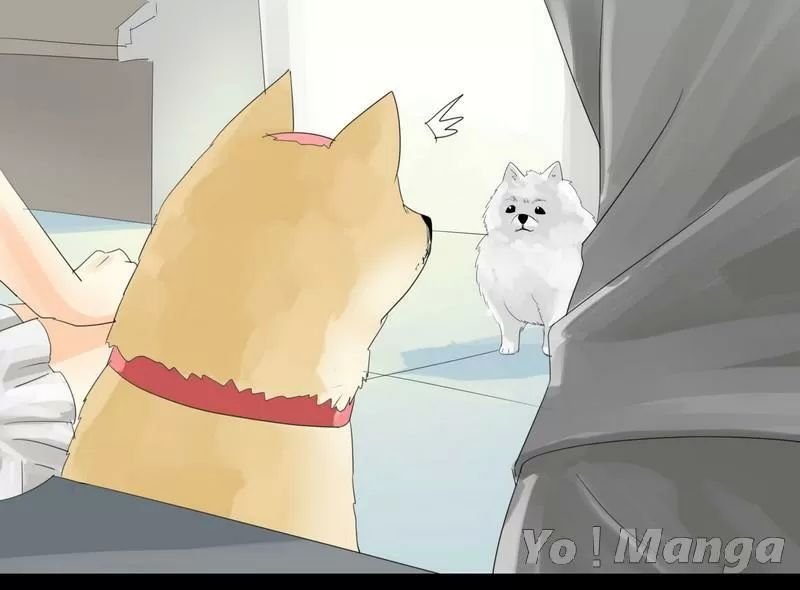 một con chó chapter 24 1