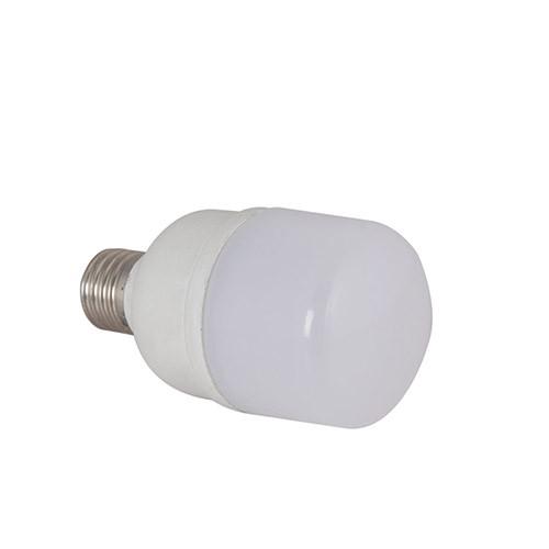 Bóng đèn LED TRỤ 12W Rạng Đông, Chip LED Sam Sung