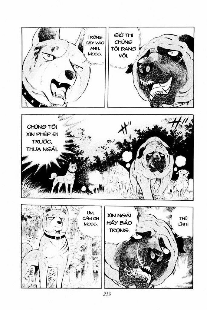 chú chó có nghĩa - ginga nagareboshi gin chapter 29.2 6