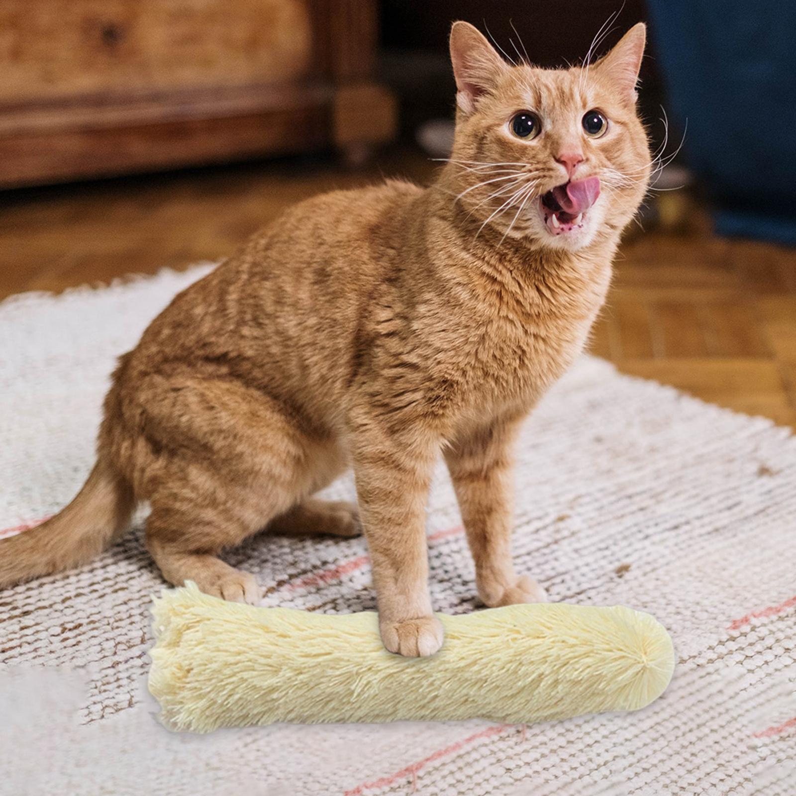 2 Cat Catnip Toy Chewing Durable Scratching Training toy for Indoor