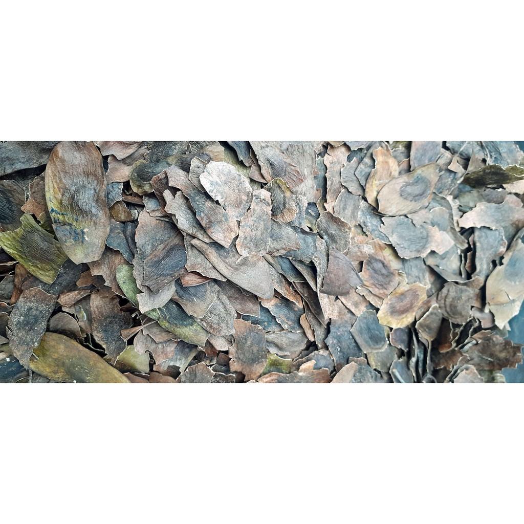 700gram sưa đỏ giống