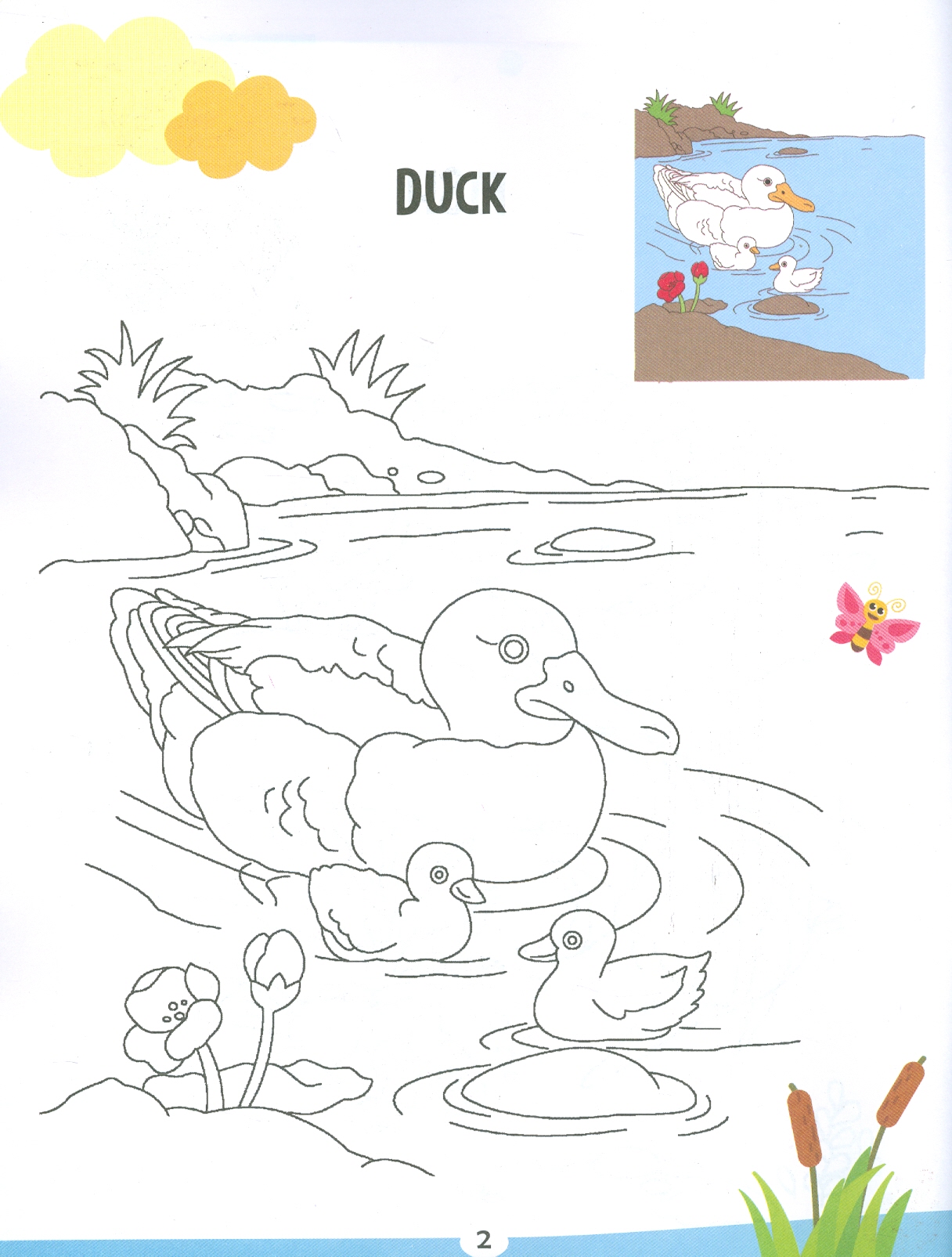 Creative Colouring Book Of Water Animals (Sách Tô Màu Sáng Tạo Về  Động Vật Dưới Nước)