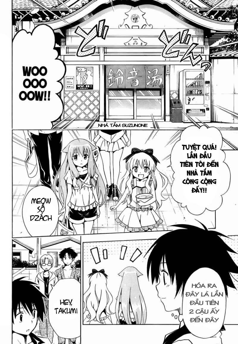 mayoi neko overrun! chapter 7 15