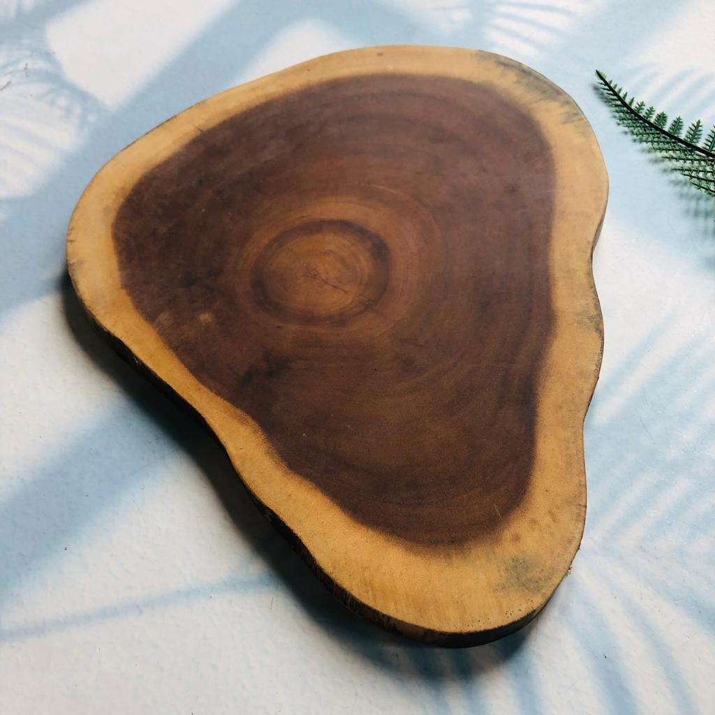 Thớt/Khoanh Gốc Cây Keo Tự Nhiên Cỡ 20-25cm, Khoanh Đựng Beefsteak, Decor Trang Trí