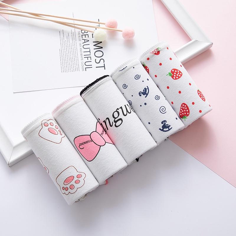 Set 5 quần lót cotton kháng khuẩn nữ họa tiết dễ thương QLN40