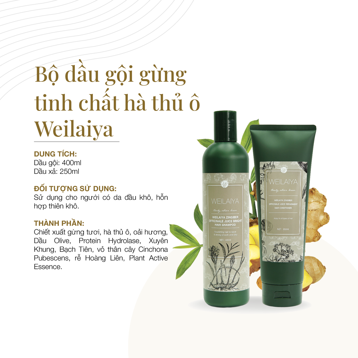 Combo Dầu Gội Weilaiya 400ml, Dầu Xả 250ml Weilaiya Gừng Hà Thủ Ô Ngăn Rụng Tóc, Kích Mọc Tóc