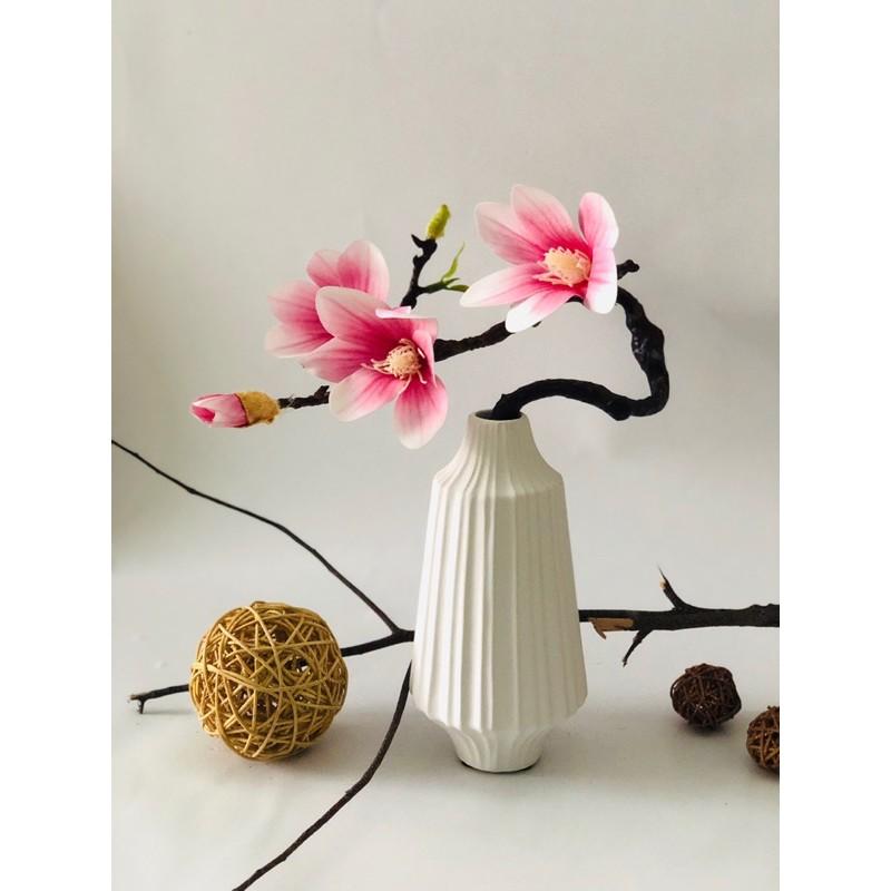 Bình Hoa Mộc Lan và Địa Lan