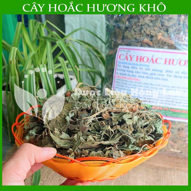 Cây hoắc hương khô sạch đóng gói 500gram