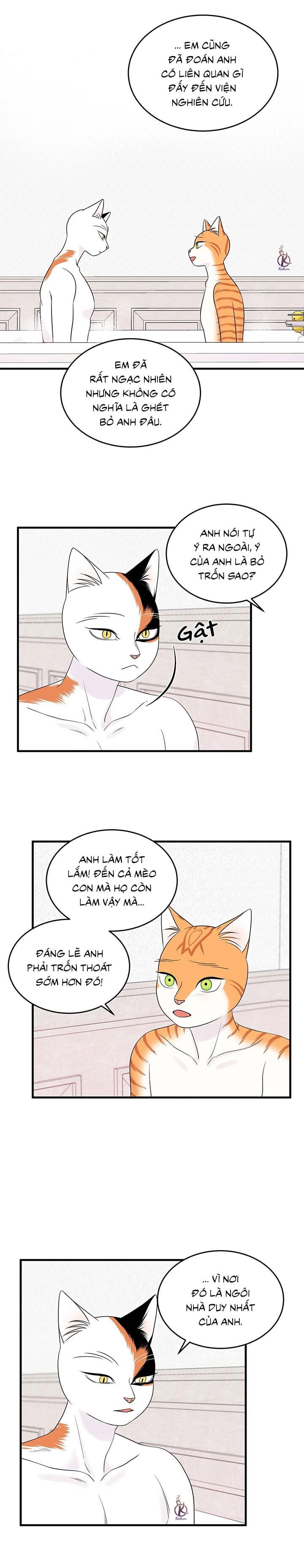 dự án xanh chapter 38 4