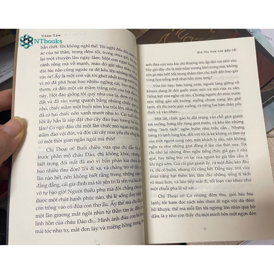 Gió Thu Hoa Cúc Gầy Rồi - Thuốc Mê