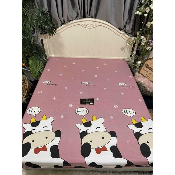 Ga chống thấm cotton cao cấp