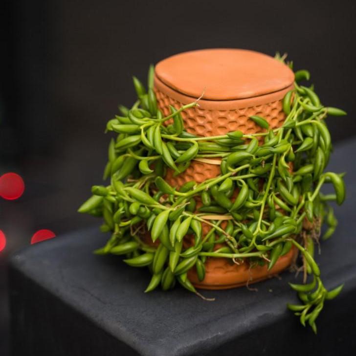 Tháp gốm trồng cây Tháp cây DOOA Tháp cây đứng - TERRA