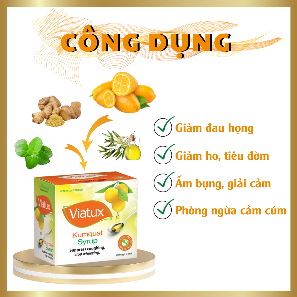 Siro Viatux tắc Vietnat giảm ho tiêu đàm - 25 gói/ hộp