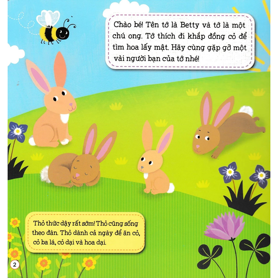 Sách Ghép Hình Phát Triển IQ - Chuyện Về Đồng Cỏ