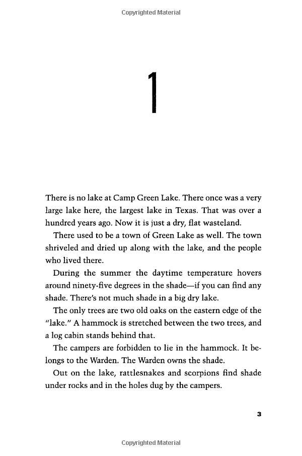 Sách ngoại văn: Holes (A Yearling Book)