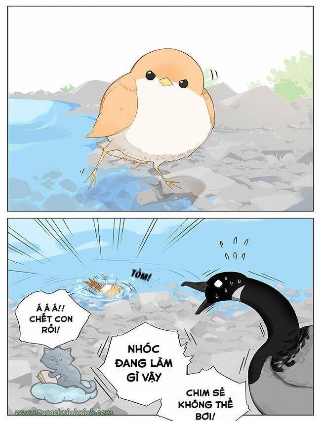 chim sẻ gọi ngỗng trời chapter 8 4