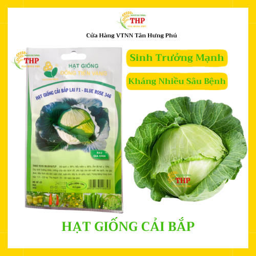 Hạt giống Bắp Cải Lai F1 Blue Rose 346 | Hạt Giống | gói 0.5gram