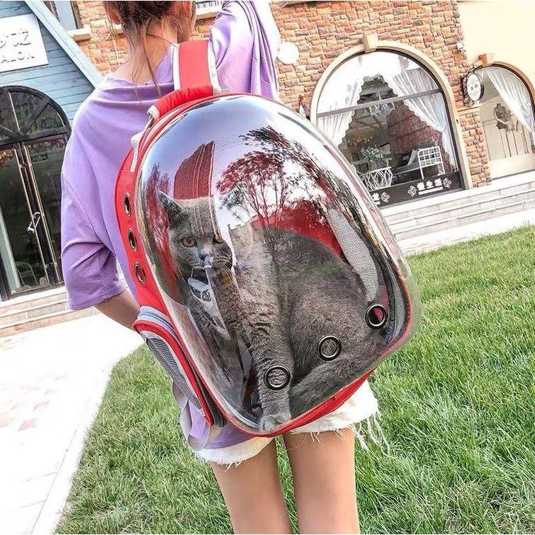 Balo phi hành gia TRONG SUỐT cho chó mèo - Ba lô du lịch chó mèo nhiều mẫu, túi di chuyển thú cưng. Dưới 9kg