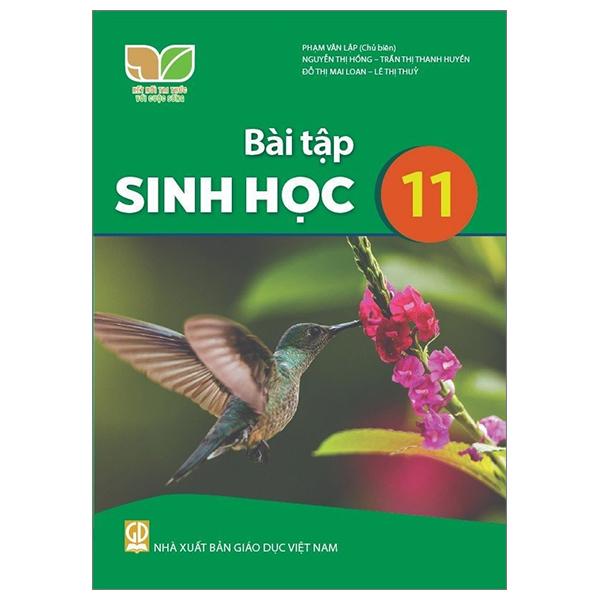 Sách Giáo Khoa Bài Tập Sinh Học 11 (Kết Nối Tri Thức) (Chuẩn)