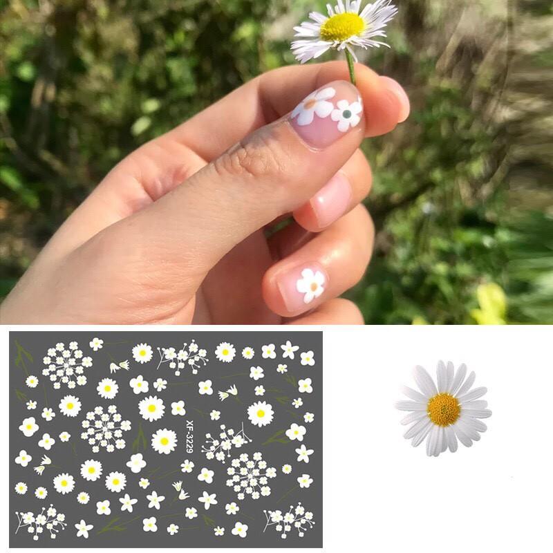Sticker dán móng hoa cúc nhuyễn 0965