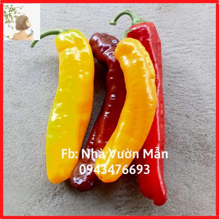 Combo 20 Hạt Giống Ớt Ngọt Sweet Palermo