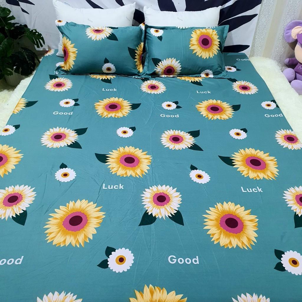 SET 4 MÓN CHĂN HÈ TRẦN BÔNG KÈM GA GỐI COTTON POLY THOÁNG MÁT, KHÔNG BÍ LƯNG MẪU HƯỚNG DƯƠNG XANH