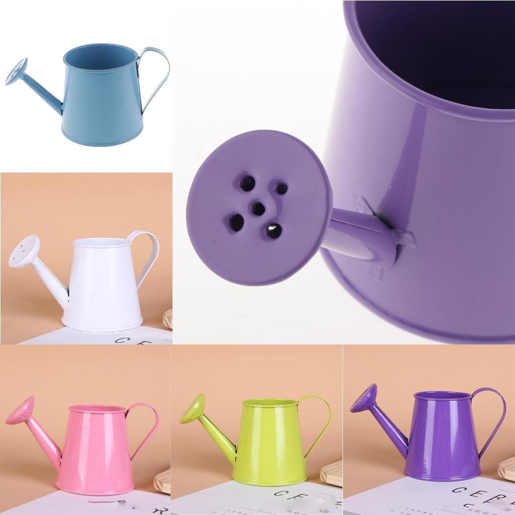 3Pcs Pastoral Style Metal Tin Flower Pot Mini Bonsai Watering Can Flowerpot