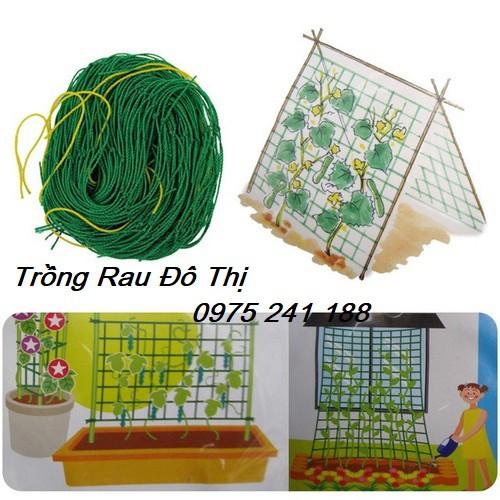 Lưới làm giàn leo 180 x 180cm, ô lưới 10x10cm, mắc 5 phút là xong
