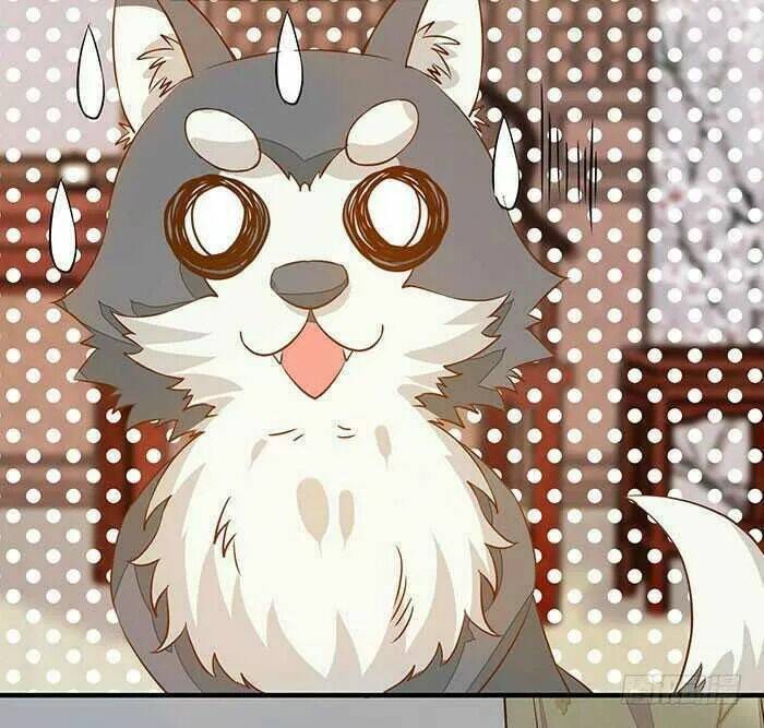 công chúa là nam nhân chapter 17.2 5