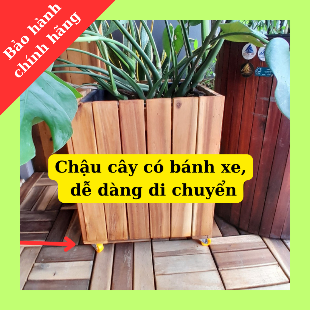 Chậu Gỗ Vuông Trồng Cây, Trồng Hoa Hồng Ngoài Trời Gỗ Tràm Chịu Nước Kích Thước 32x32x31cm