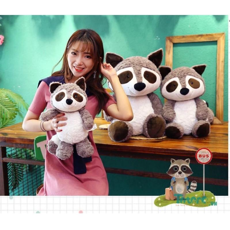 Gấu mèo lông xù