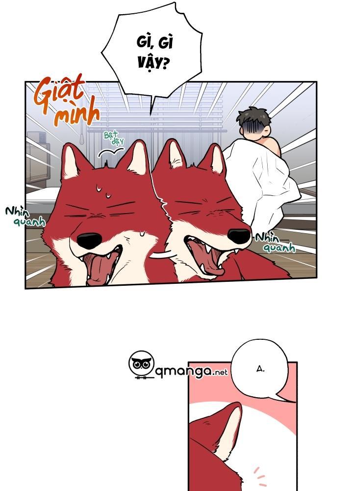 gâu gâu! chapter 12 9