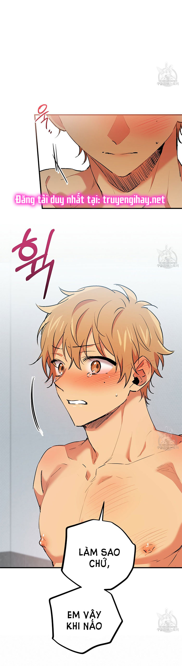 những chú thỏ của hapypy chapter 43 51