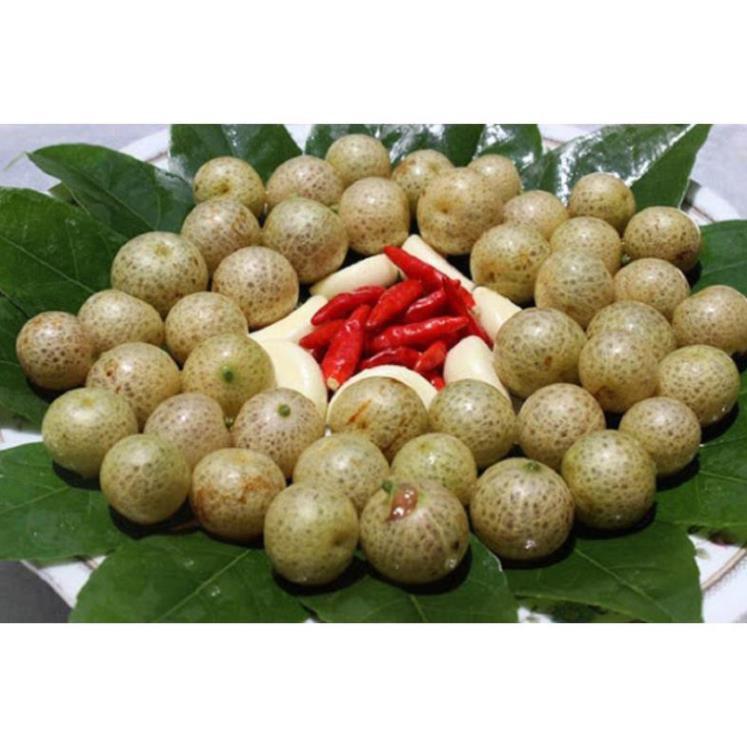 COMBO 5 CÂY GIỐNG CÂY MẮC MẬT , CAM KẾT GIỐNG CHUẨN F1