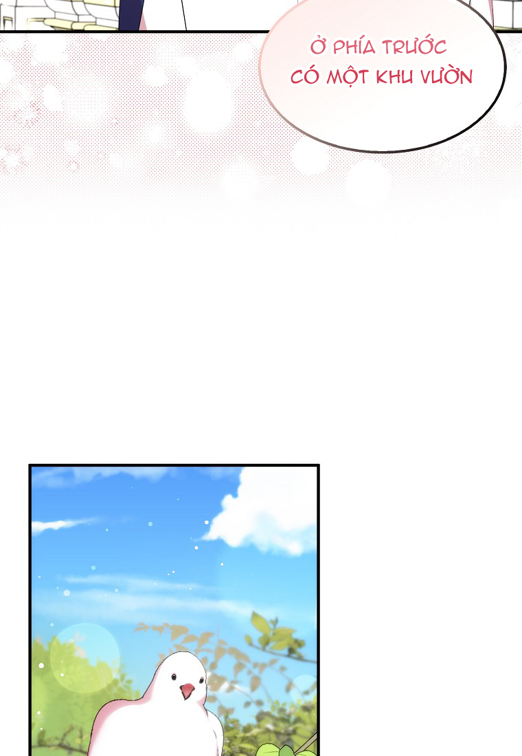 tôi sẽ cố gắng bảo vệ em gái chapter 34 43