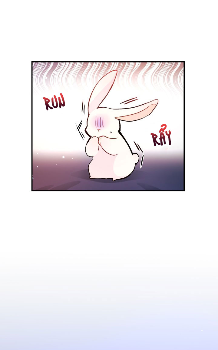 mối liên kết giữa báo đen và bé thỏ chapter 2 69