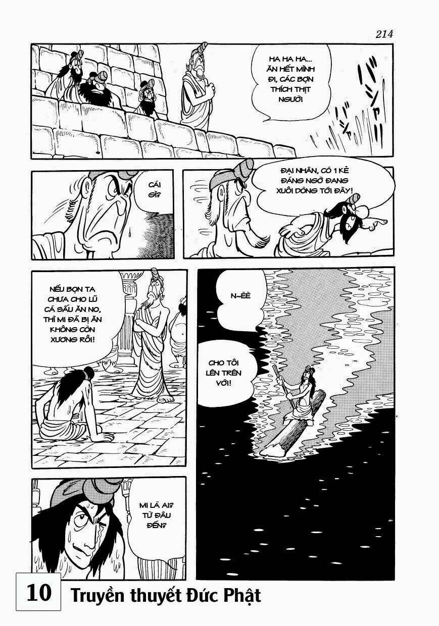 buddha - truyền thuyết đức phật chapter 49 5