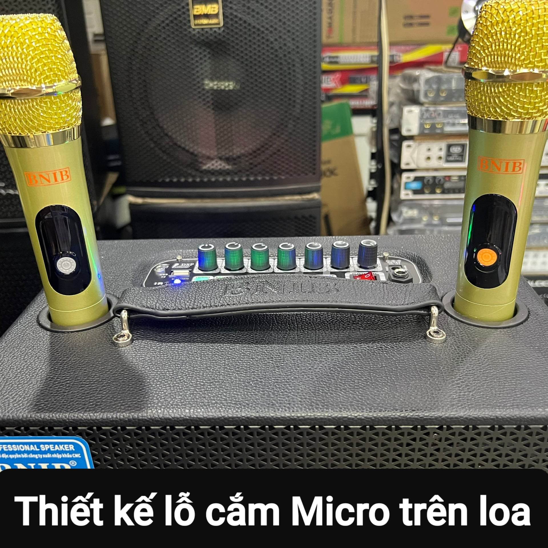 Loa xách tay Karaoke Bluetooth BNIB B-6S: Bass 16, 3 loa, Vỏ gỗ bọc da, Âm thanh chất lượng, Kèm 2 Micro vỏ kim loại