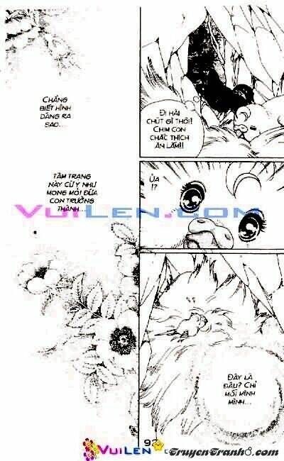 đóa hoa yêu kiều chapter 2 93