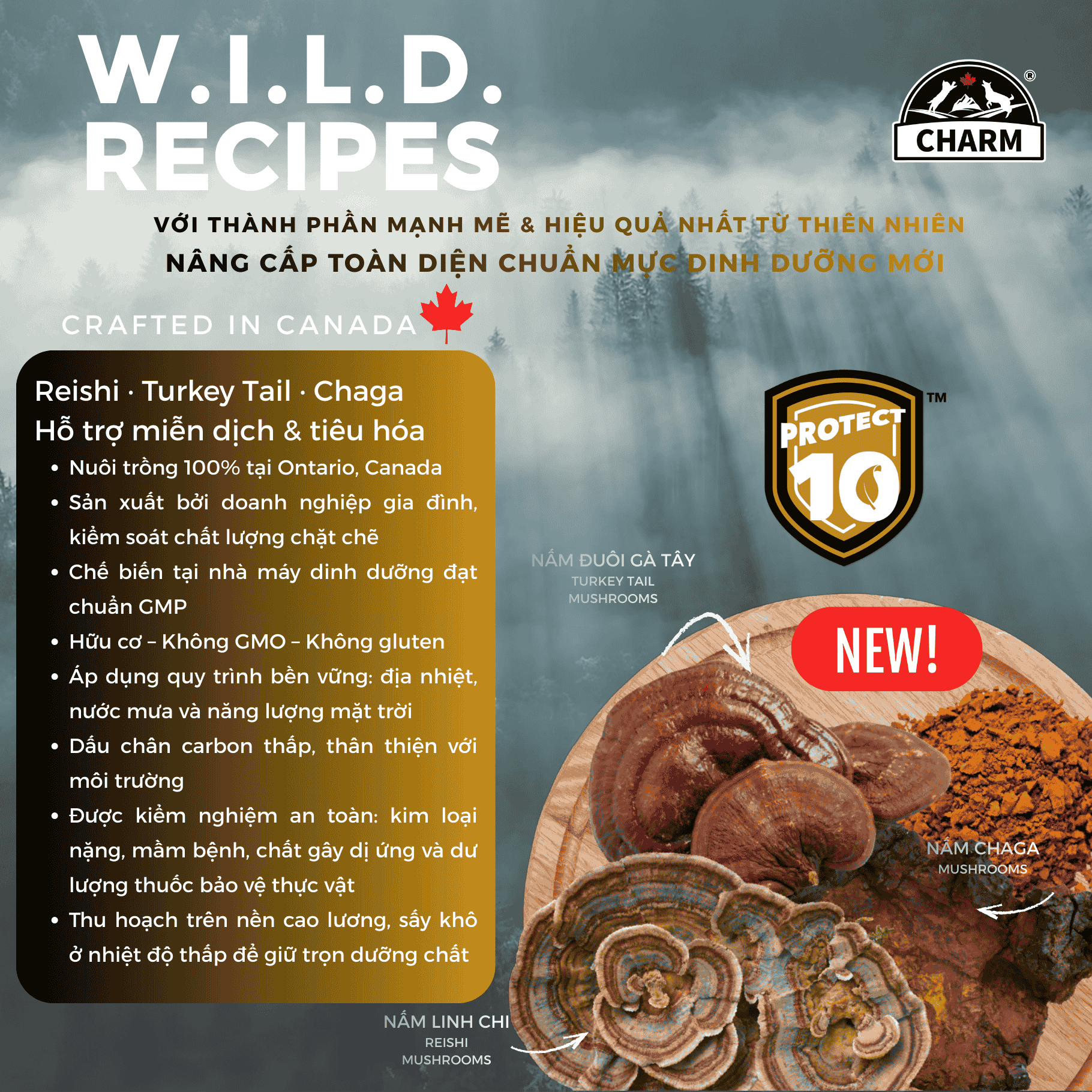 Thức Ăn hạt Mèo cao cấp Gà Cá CHARM Cage-Free Chicken Cat Food Dry food Canada - CHỌN