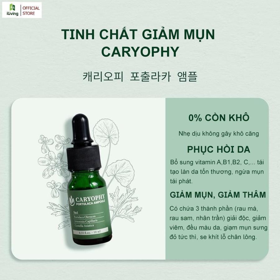 Serum giảm mụn mờ thâm se khít lỗ chân lông Caryophy 10ml CARSR10M