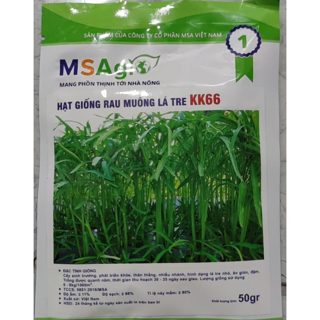 Hạt giống rau Muống Lá Tre, rau muống lá nhỏ chất lượng tốt 50gr/ 100gr