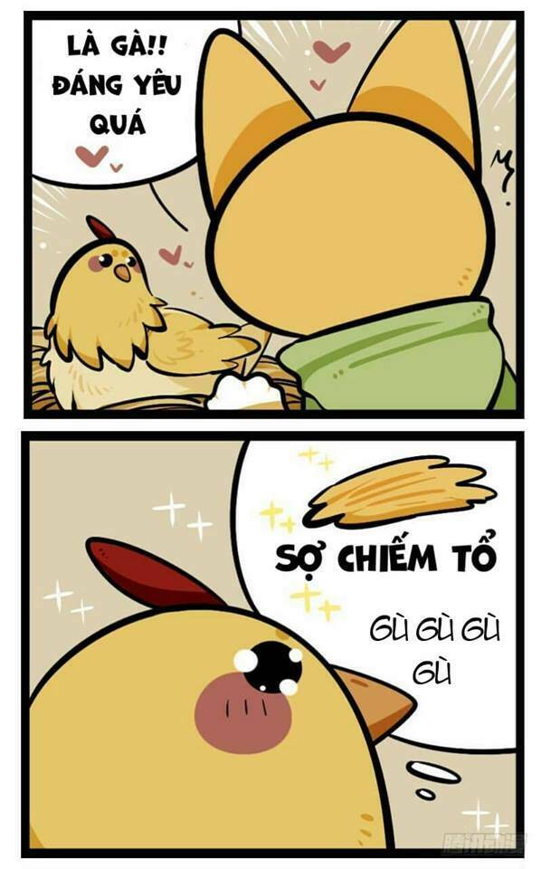 đời không như mình tưởng chapter 39 4