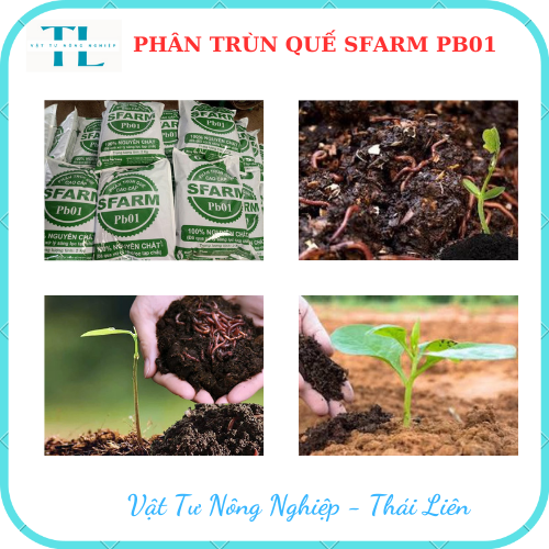 Phân trùn quế nguyên chất SFARM Bao 2kg rất tốt cho mọi cây trồng, dễ sử dụng, tiện lợi