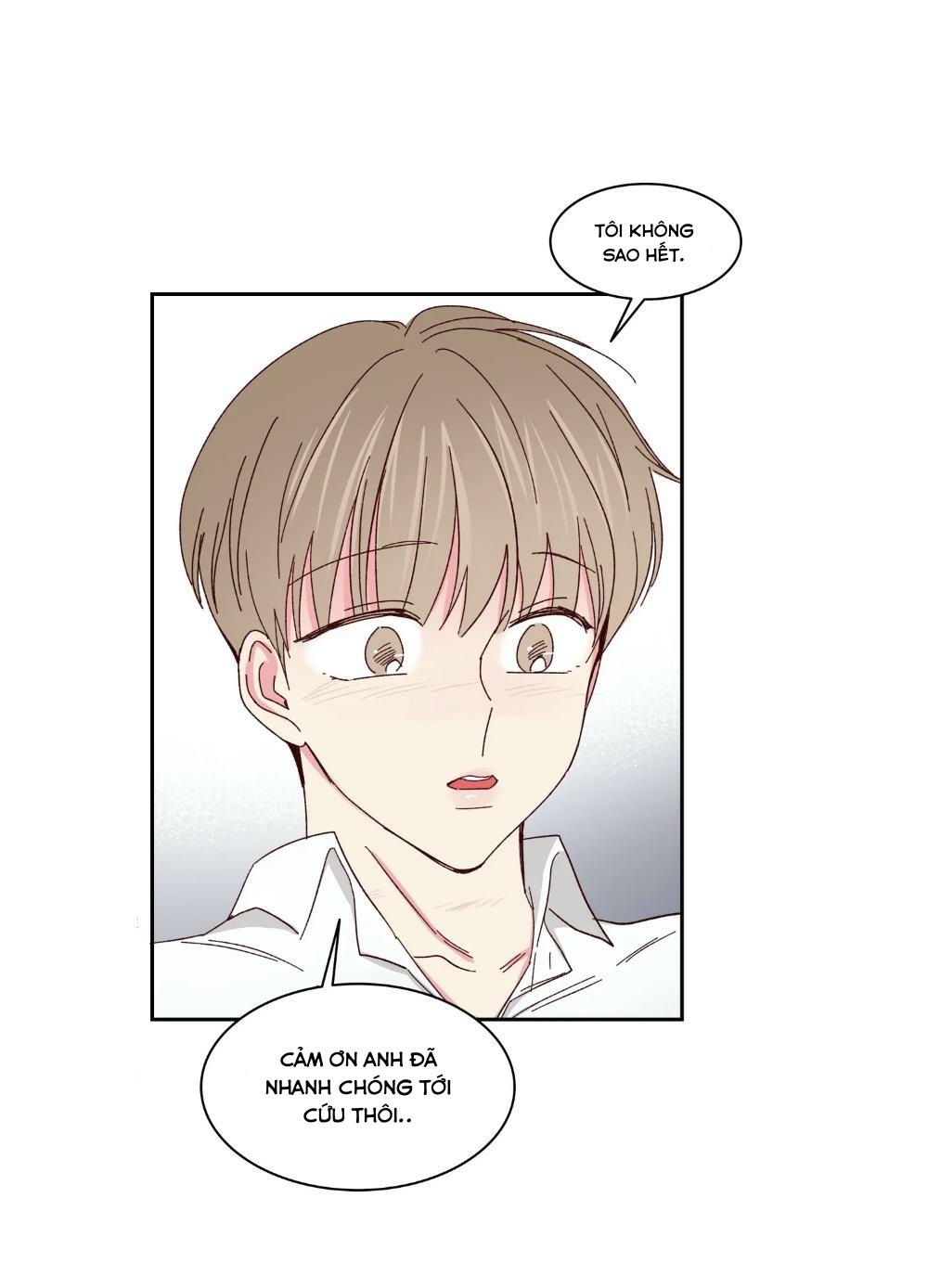 món tráng miệng của sếp tổng chapter 59 26